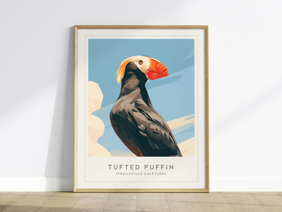 Tufted Puffin, Frailecillo Coletudo Poster | Bold Seabird Wildlife Print Wall Art — framed wall art