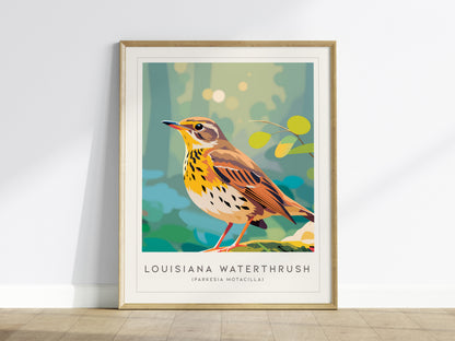 Louisiana Waterthrush, Parkesia motacilla Poster | Streamside Songbird Nature Wall Art — framed wall art