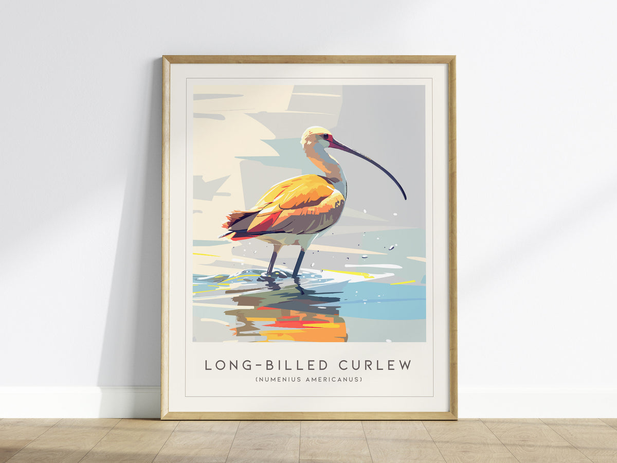 Long-billed Curlew, Numenius americanus Poster | Shorebird Wildlife Print Wall Art — framed wall art