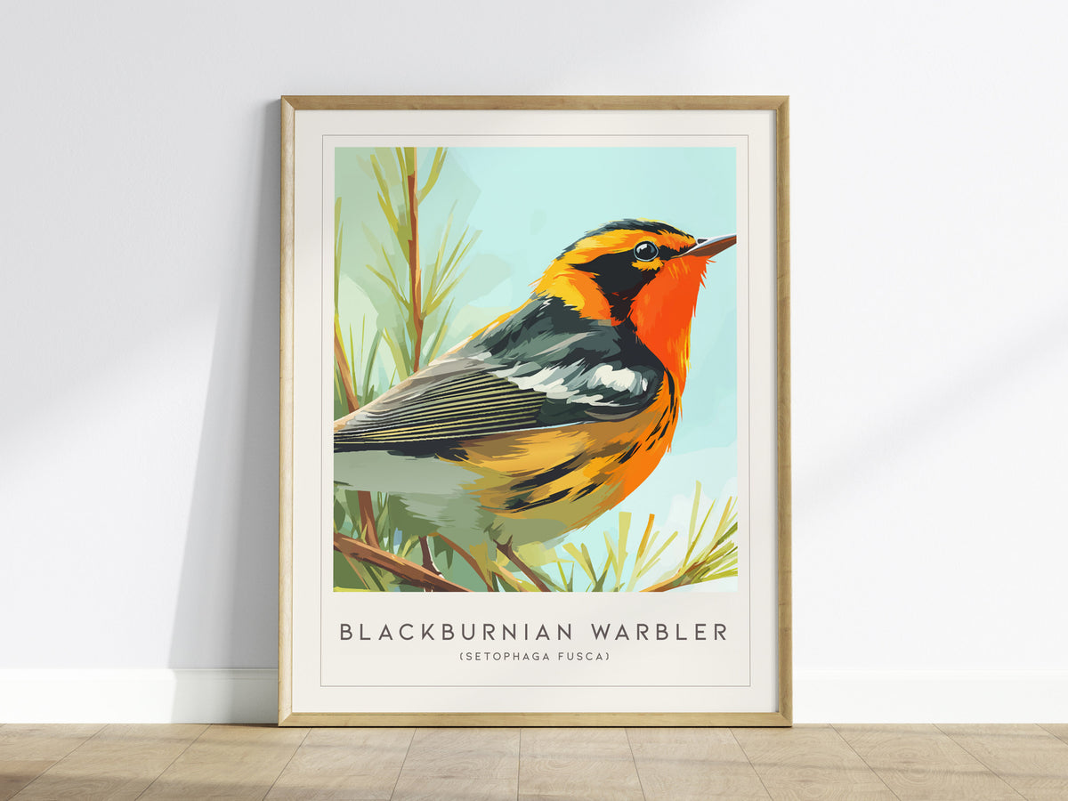 Blackburnian Warbler, Setophaga fusca Poster | Fiery Songbird Nature Print Wall Art — framed wall art