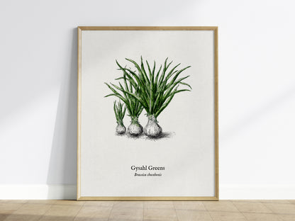 Gysahl Greens Poster | Brassica chocobonis Pen and Ink Print Vintage Botanical Illustration — framed wall art