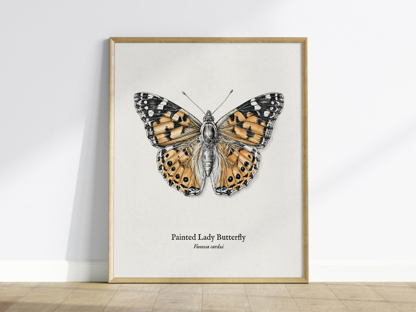 Painted Lady Butterfly Poster | Vintage Vanessa cardui Zoological Illustration Wall Art — framed wall art
