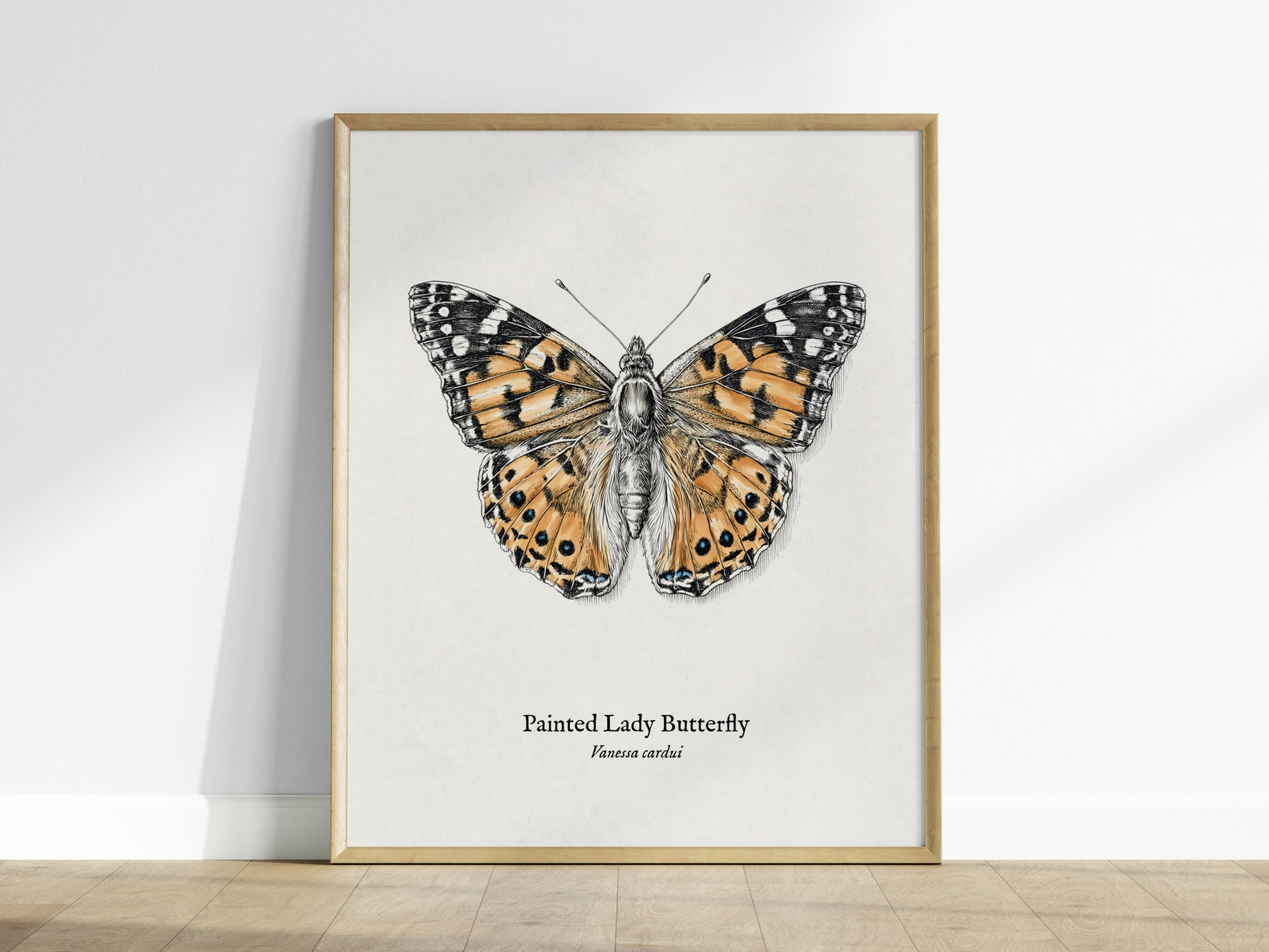 Painted Lady Butterfly Poster | Vintage Vanessa cardui Zoological Illustration Wall Art — framed wall art