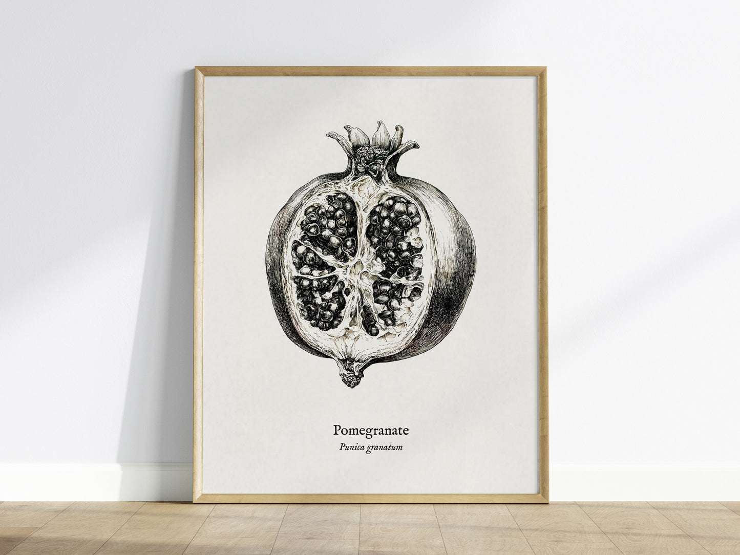 Pomegranate Poster | Vintage Punica granatum Botanical Illustration Wall Art — framed wall art
