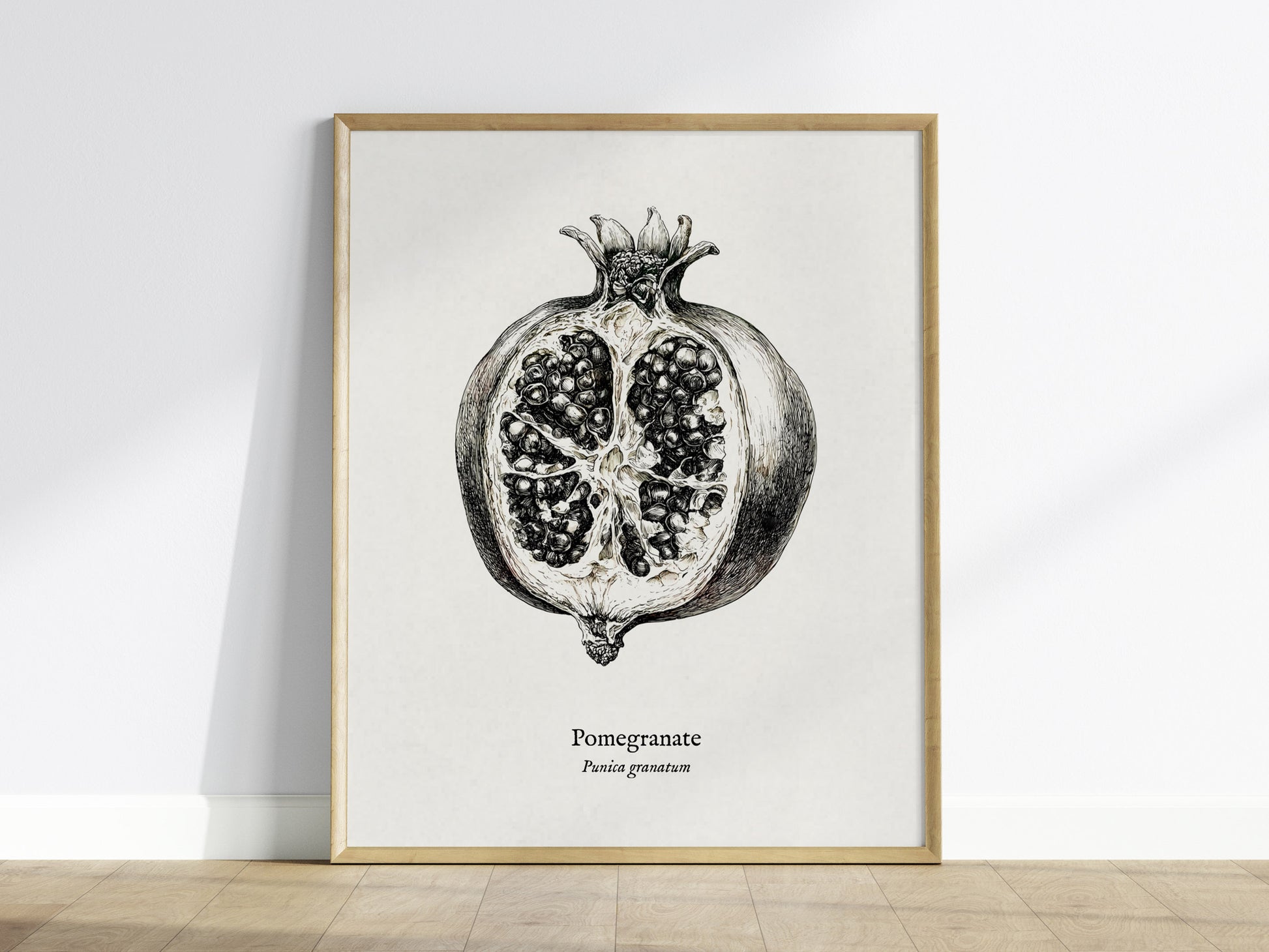Pomegranate Poster | Vintage Punica granatum Botanical Illustration Wall Art — framed wall art
