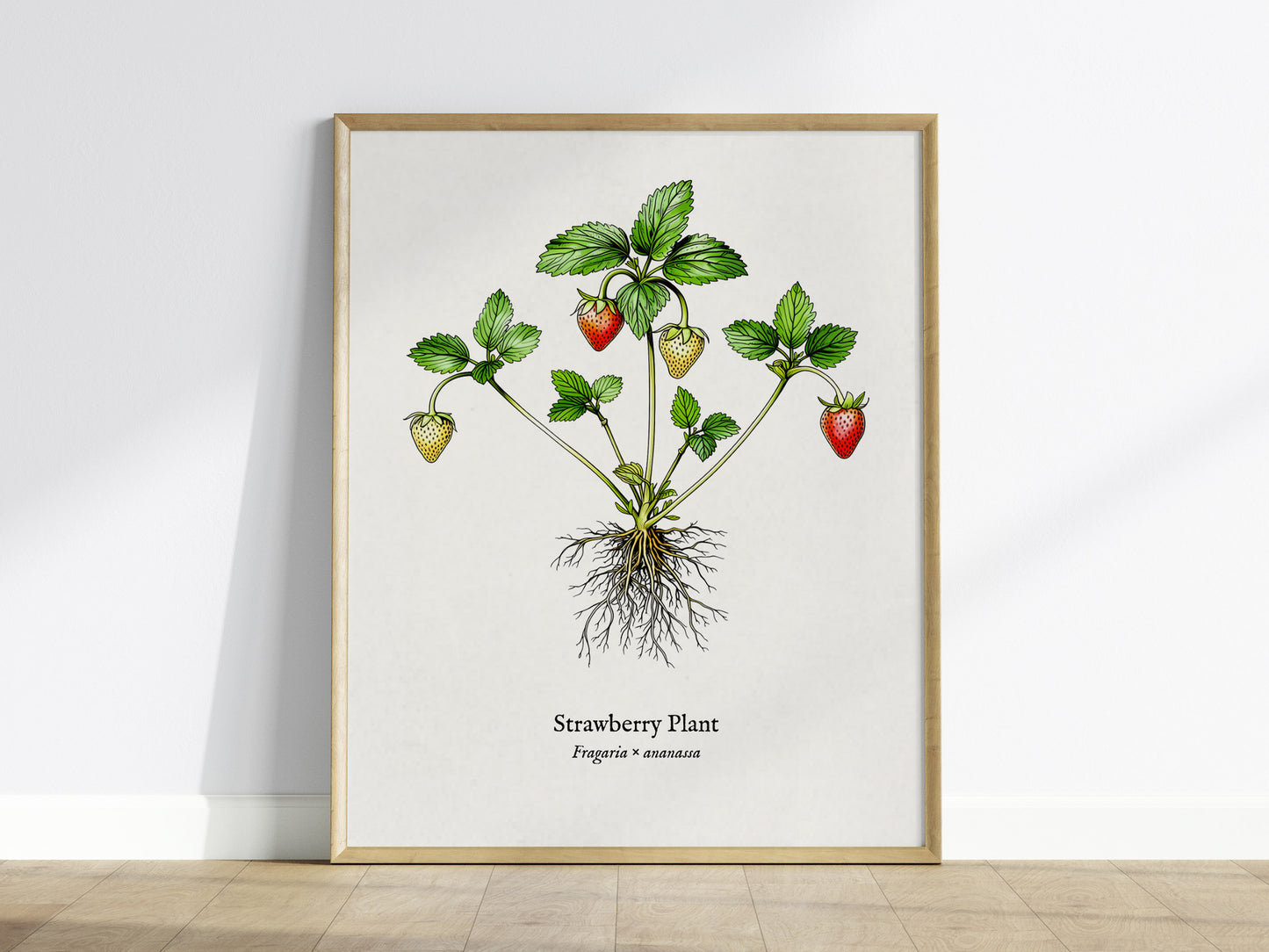 Strawberry Plant Poster | Vintage Fragaria × ananassa Botanical Illustration Wall Art — framed wall art