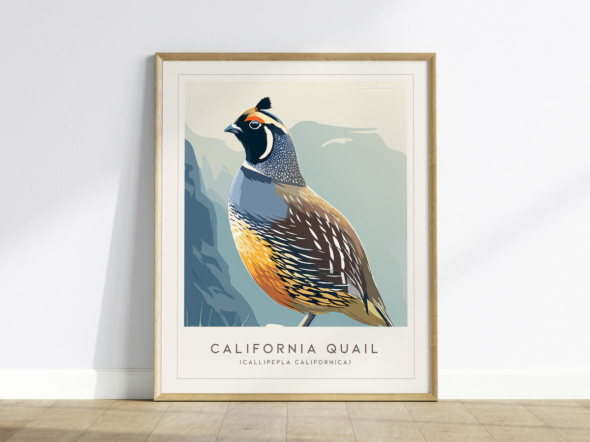 California Quail Poster | Golden State Bird Illustration Wall Art — framed wall art