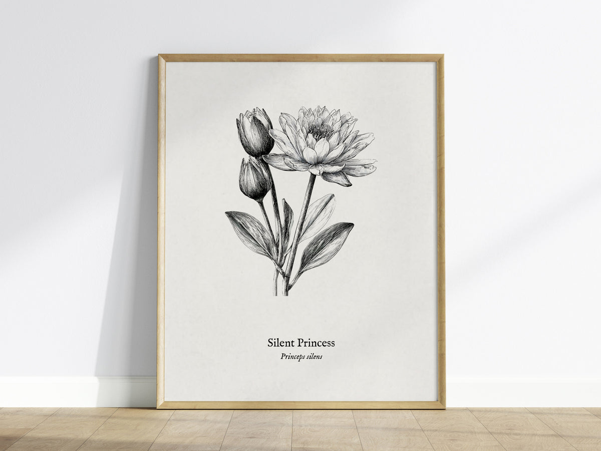 Silent Princess Poster | Princeps Silens Pen and Ink Print Vintage Scientific Illustration Wall Art — framed wall art