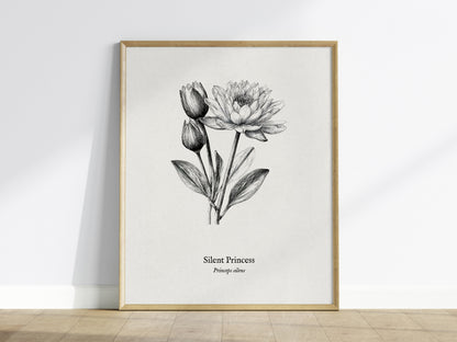 Silent Princess Poster | Princeps Silens Pen and Ink Print Vintage Scientific Illustration Wall Art — framed wall art