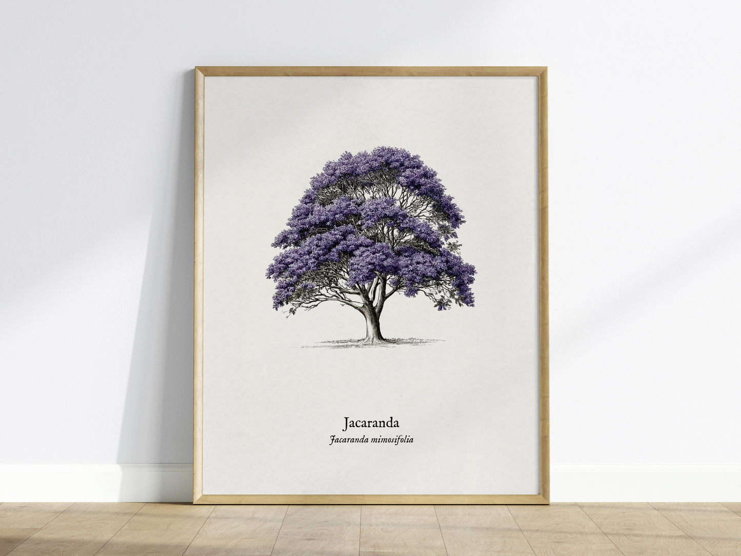 Jacaranda Poster | Vintage Jacaranda mimosifolia Botanical Illustration Wall Art — framed wall art
