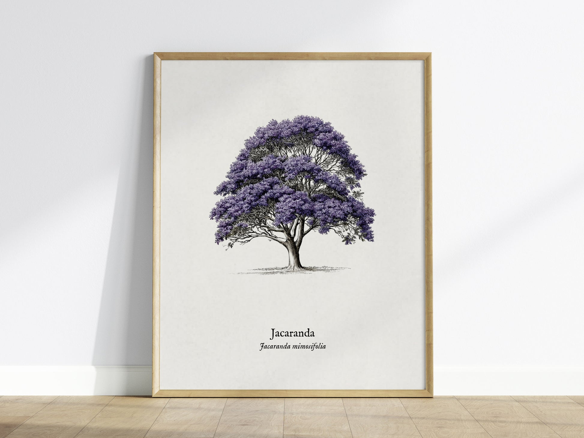 Jacaranda Poster | Vintage Jacaranda mimosifolia Botanical Illustration Wall Art — framed wall art
