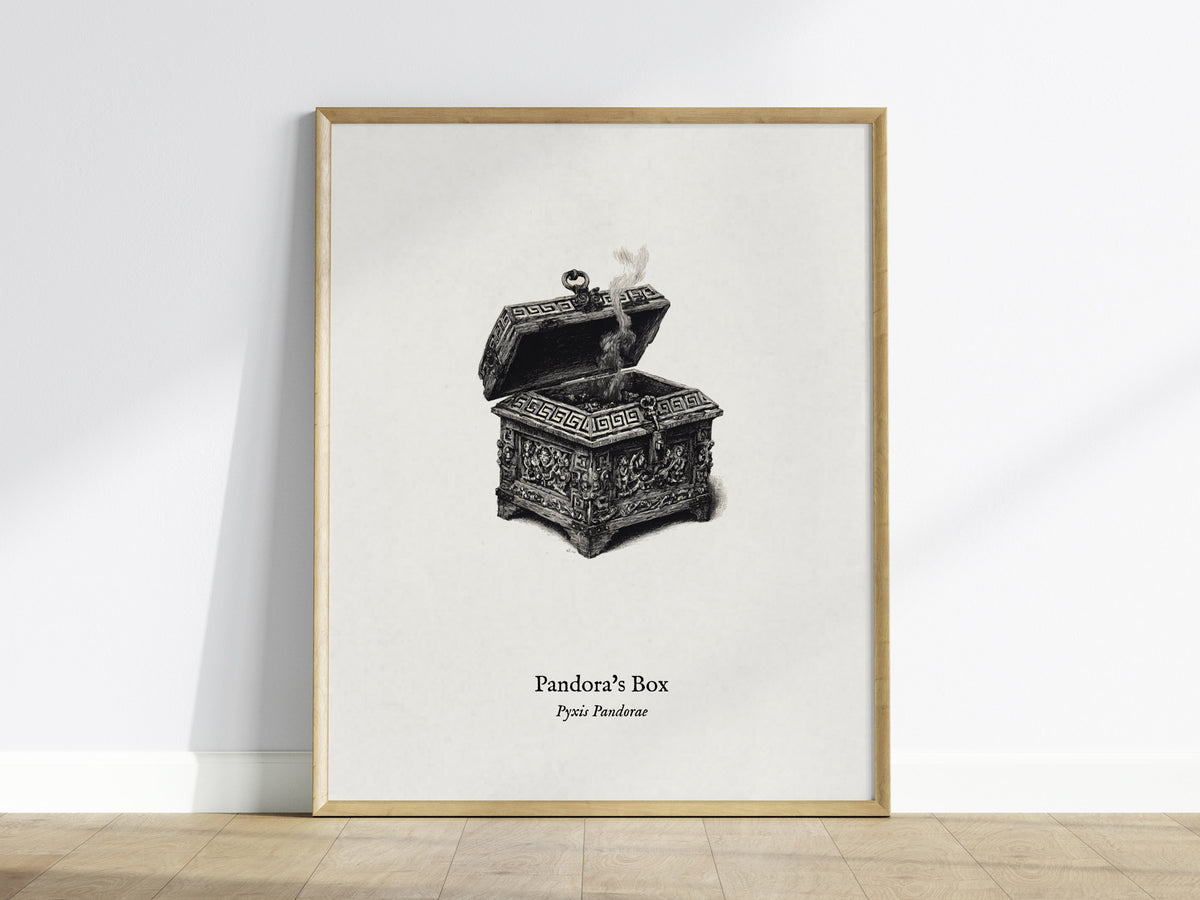 Pandora's Box Poster | Pyxis Pandorae Pen and Ink Print Vintage Scientific Illustration Wall Art — framed wall art