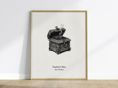 Pandora's Box Poster | Pyxis Pandorae Pen and Ink Print Vintage Scientific Illustration Wall Art — framed wall art
