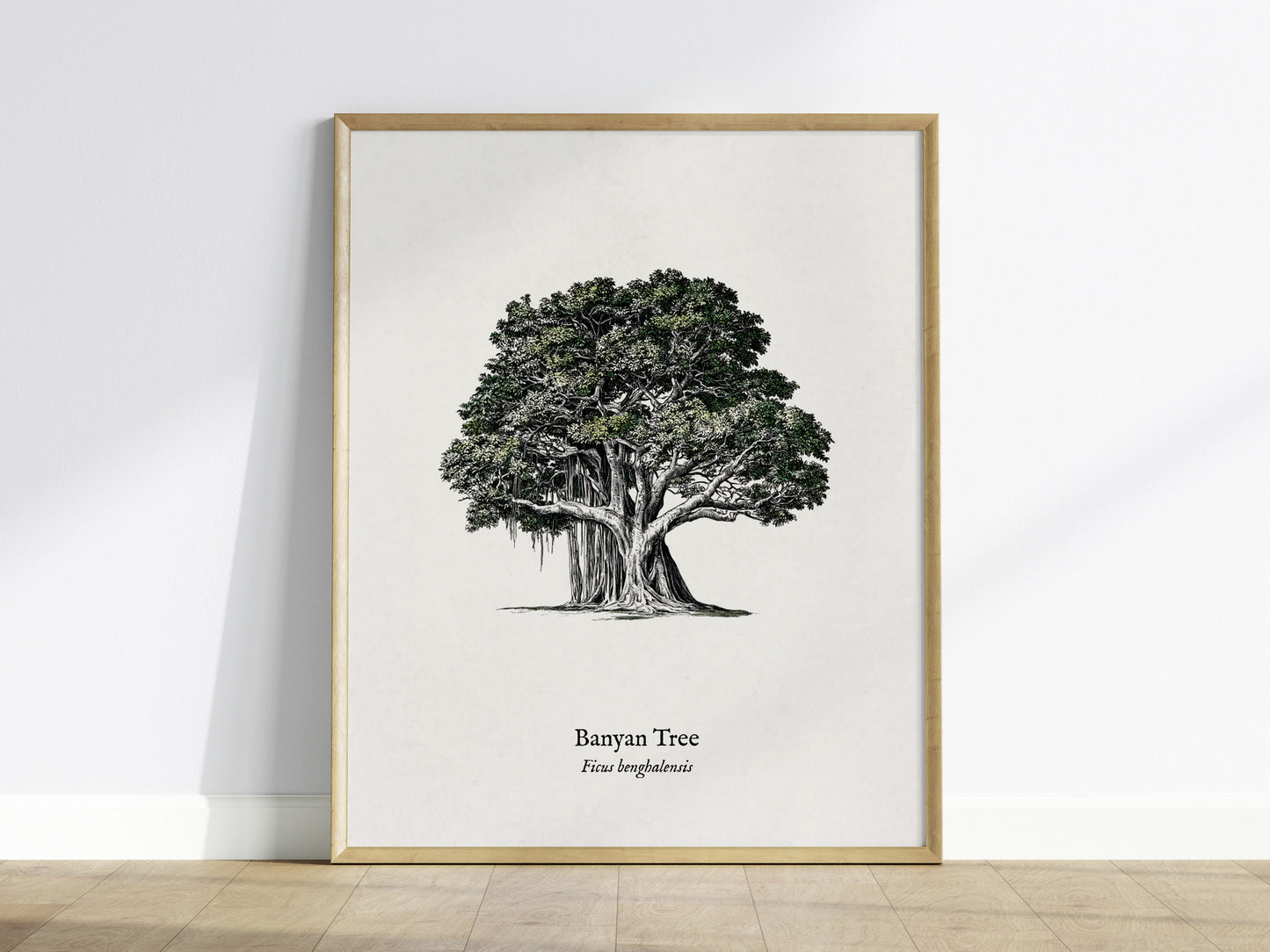 Banyan Tree Poster | Vintage Ficus benghalensis Botanical Illustration Wall Art — framed wall art