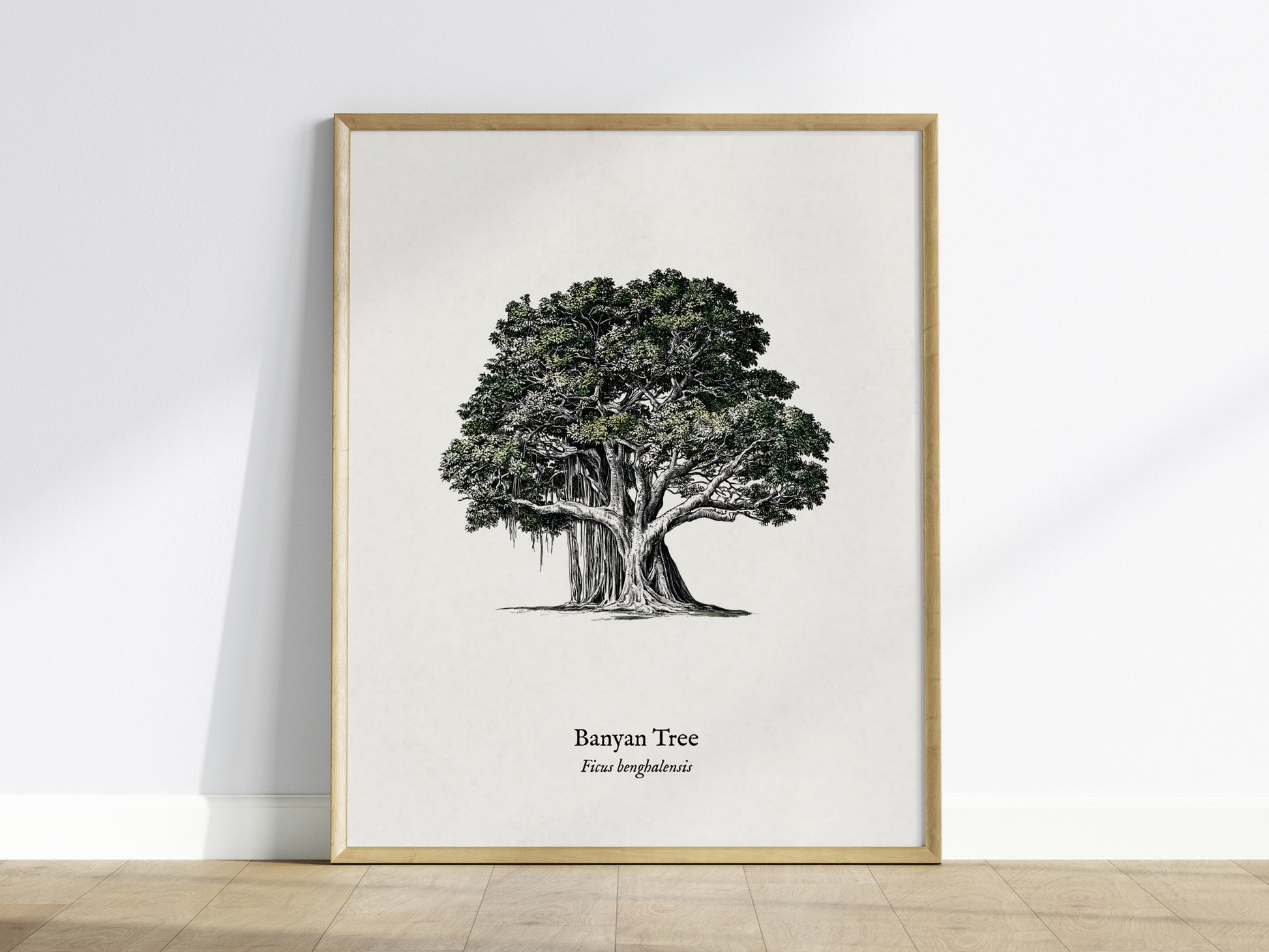Banyan Tree Poster | Vintage Ficus benghalensis Botanical Illustration Wall Art — framed wall art