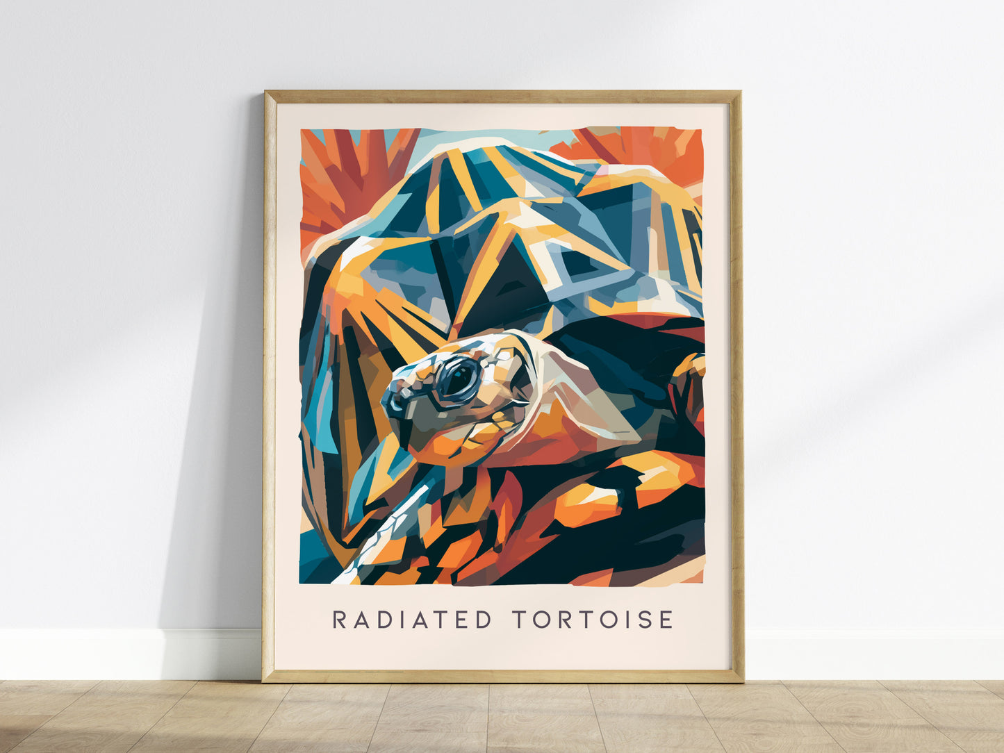 Radiated Tortoise Poster | Exotic Wildlife Portrait Fine Wall Art — framed wall art