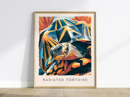 Radiated Tortoise Poster | Exotic Wildlife Portrait Fine Wall Art — framed wall art