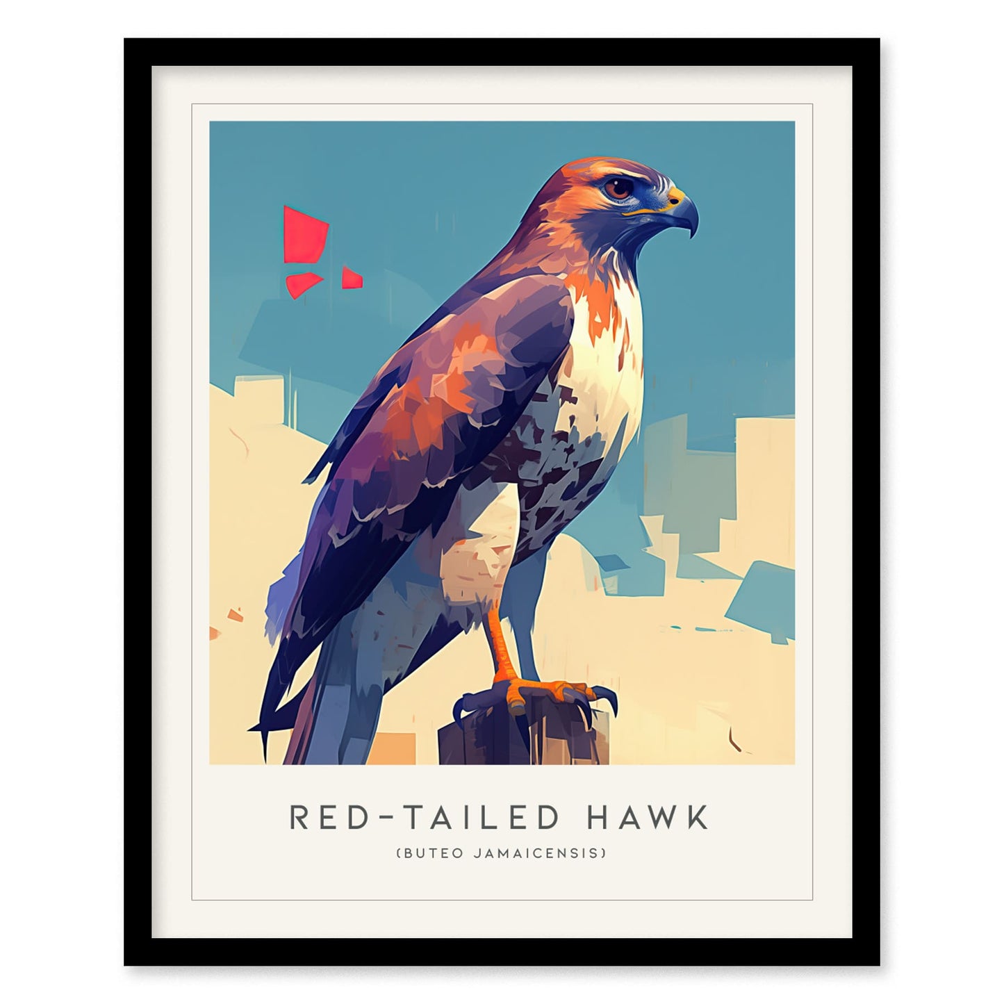 Red-tailed Hawk Modern Framed Wall Art | Cottagecore Minimalist Wildlife Poster | Red Tail Bird of Prey Audubon Print | Farm House Nature Decor