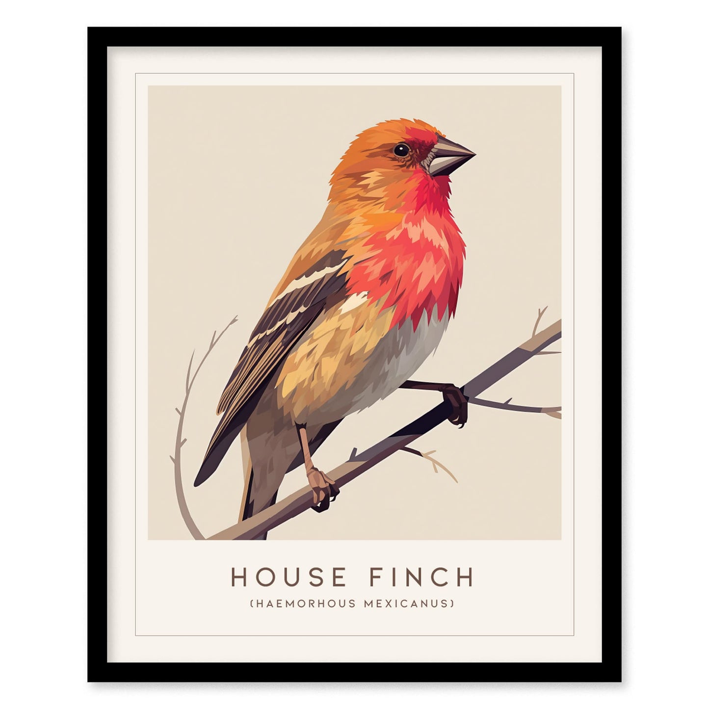 House Finch Framed Poster | Vibrant Bird Illustration Print | National Audubon Wildlife Wall Art | Bird Watcher Nature Lover Farm House Cottagecore Decor