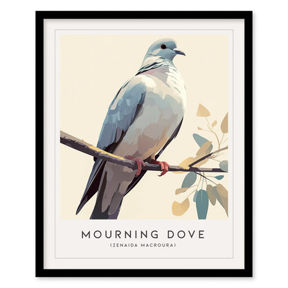 Mourning Dove Framed Bird Poster | Tranquil Avian Audubon Wall Art | Birdwatcher Nature Lover Farm House Cottagecore Home Decor Modern Print