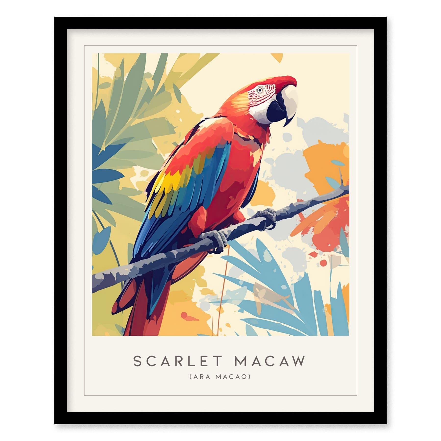 Scarlet Macaw Framed Poster | Parrot Bird Lover Modern Wall Art | Audubon Tropical Nature Print - Swell Scenes