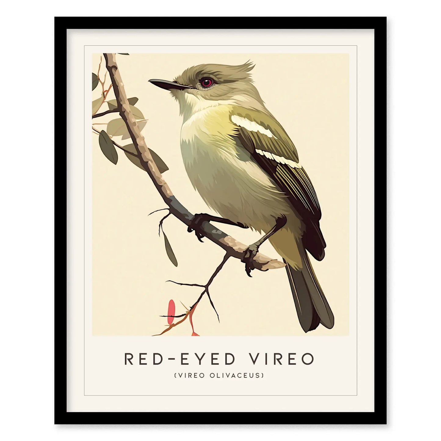 Red-eyed Vireo Framed Bird Poster | Audubon Avian Wall Art Print | Nature Lover Farm House Cottagecore Home Decor