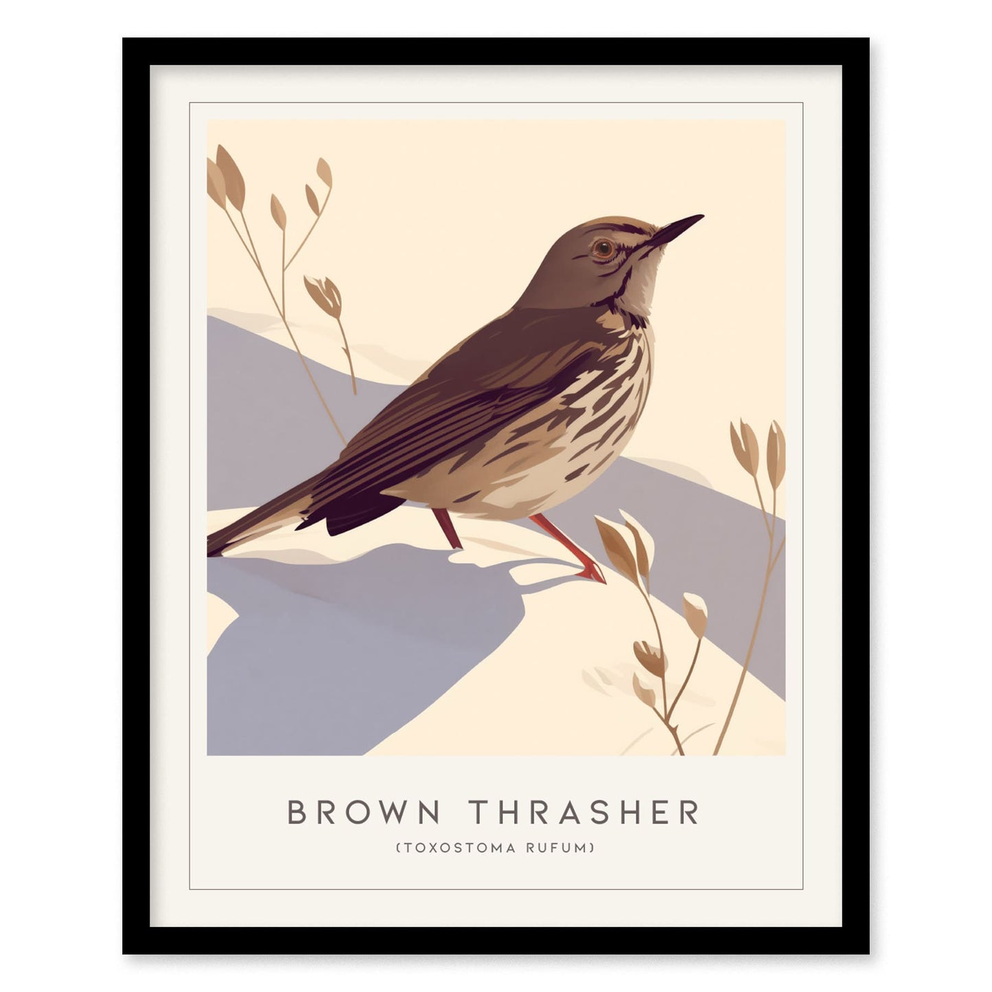 Brown Thrasher Songbird Modern Framed Poster | Minimalist Bird Illustration Wall Art | Nature Lover Farm House Cottagecore Home Decor Print