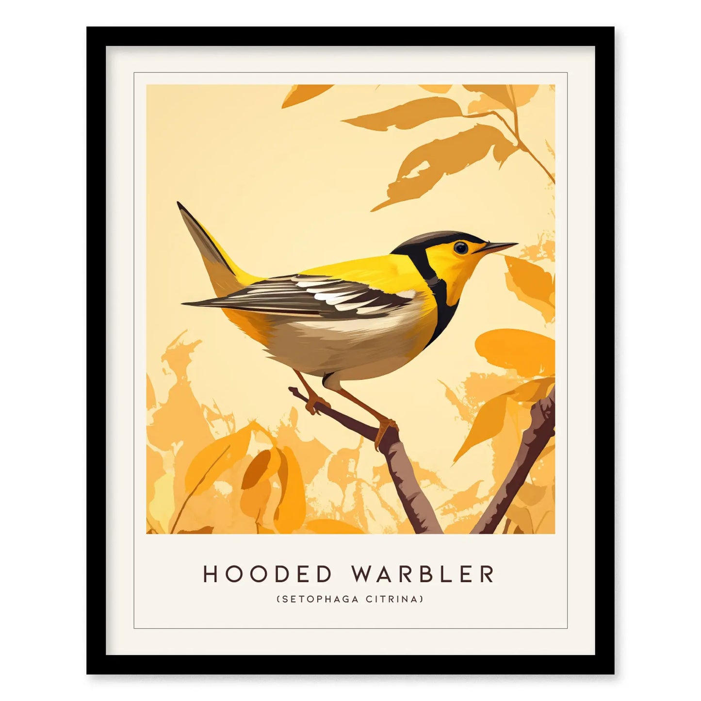 Hooded Warbler Bird Modern Framed Wall Art | Minimalist Nature Audubon Wildlife Poster | Cottagecore Farm House Style Decor Print