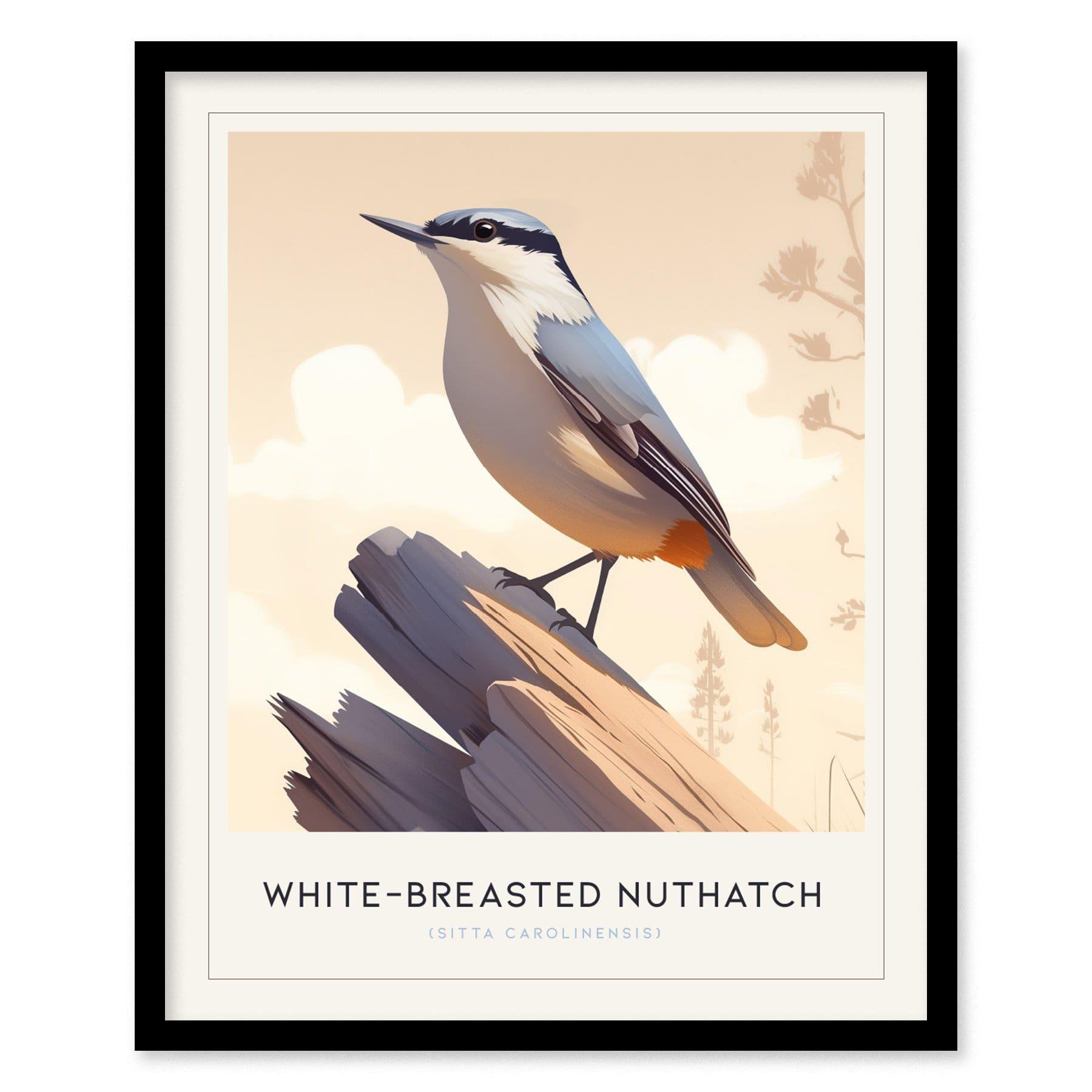White-Breasted Nuthatch Poster | Minimalist Wildlife Art Print | Perfect for Birdwatchers & Nature-Inspired Decor - Swell Scenes