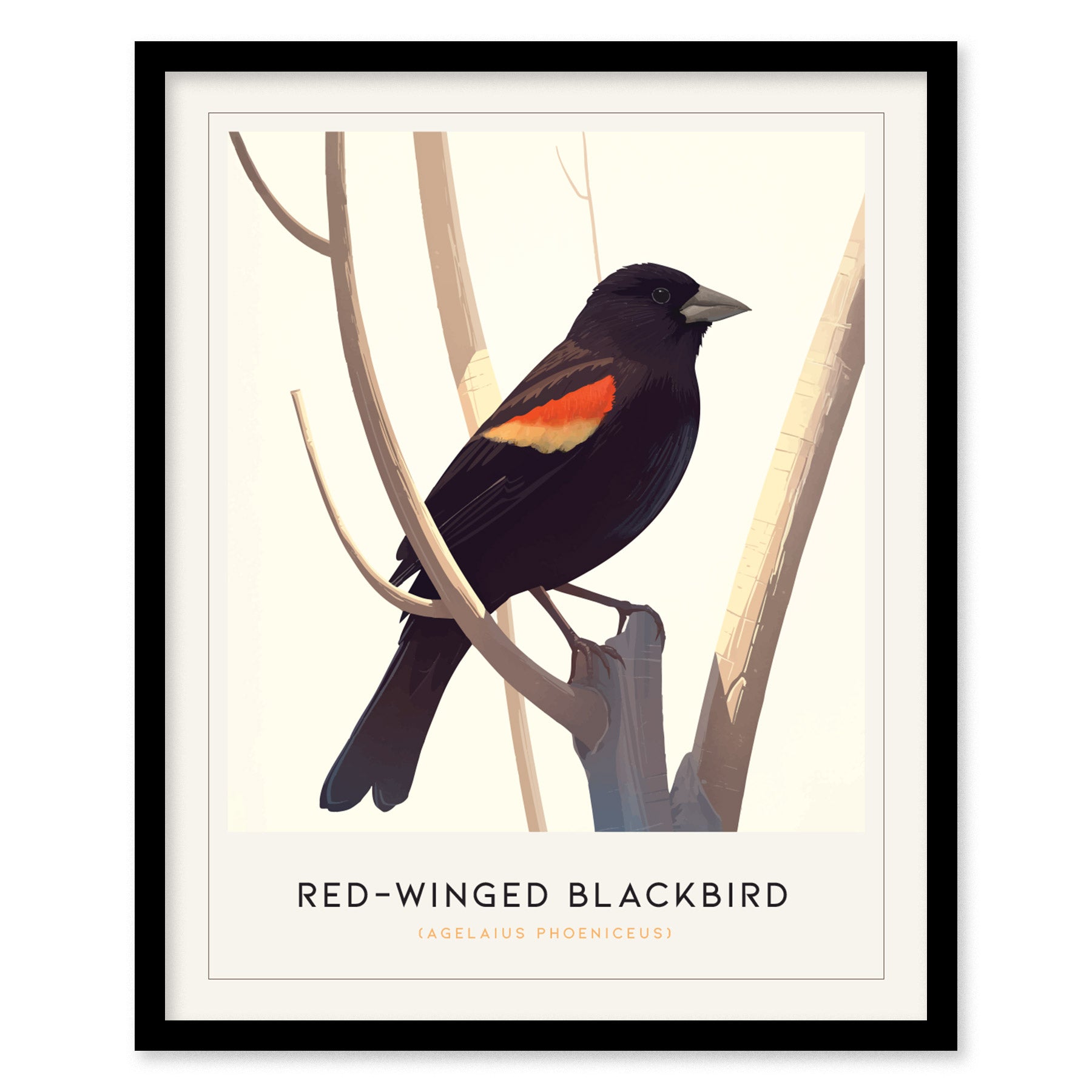 Red-Winged Blackbird Poster | Bird Art Print | Minimalist Nature Gift