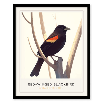 Red-Winged Blackbird Poster | Bird Art Print | Minimalist Nature Gift