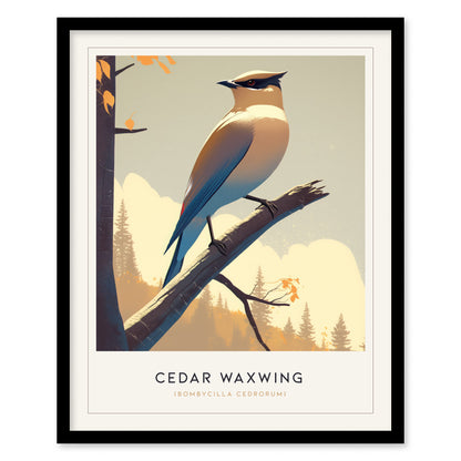 Cedar Waxwing Audubon Print | Bird Lover Modern Wall Art | Framed or Unframed