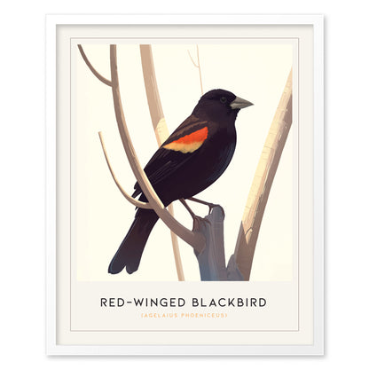 Red-Winged Blackbird Poster | Bird Art Print | Minimalist Nature Gift