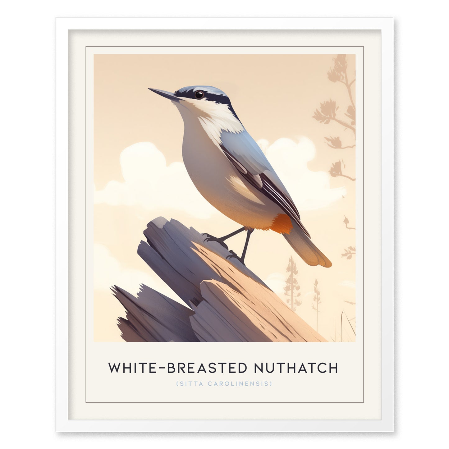 White-Breasted Nuthatch Poster | Minimalist Bird Art Birdwatcher Gift