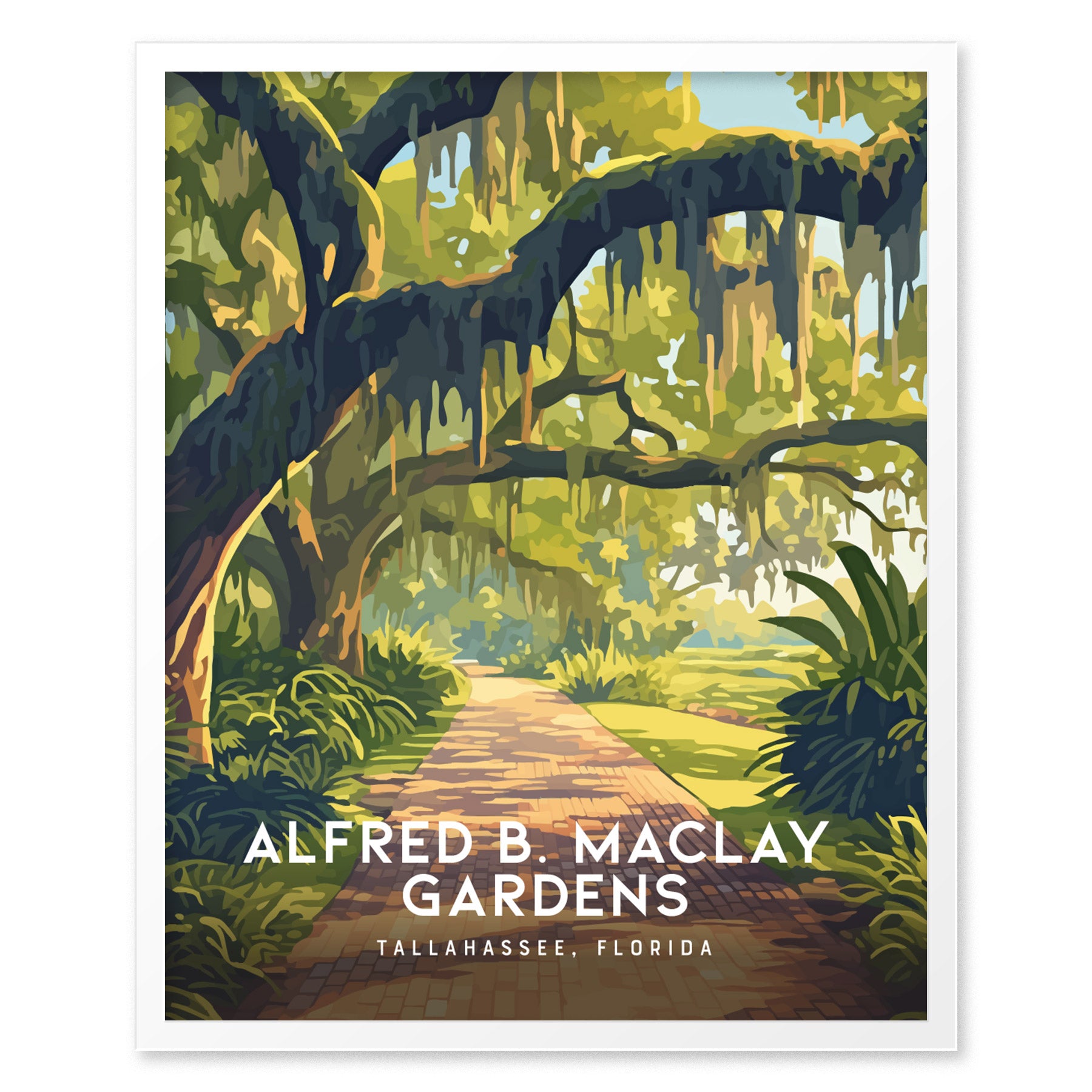 Illustrated poster of Alfred B. Maclay Gardens shows moss-draped oak trees framing a brick path, capturing the tranquil beauty of Tallahassee, Florida. Text reads Alfred B. Maclay Gardens, Tallahassee, Florida.