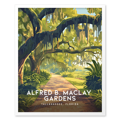 Illustrated poster of Alfred B. Maclay Gardens shows moss-draped oak trees framing a brick path, capturing the tranquil beauty of Tallahassee, Florida. Text reads Alfred B. Maclay Gardens, Tallahassee, Florida.