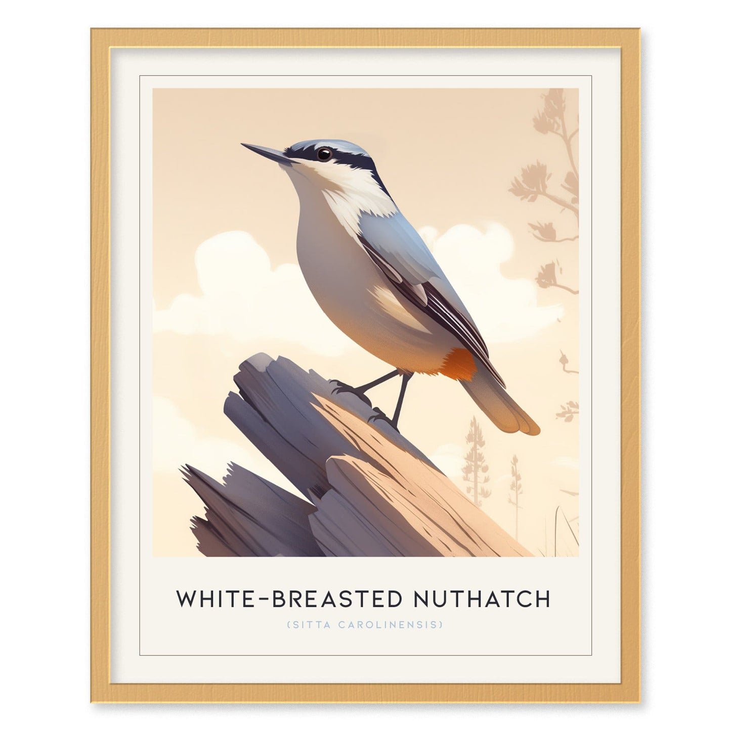 White-Breasted Nuthatch Poster | Minimalist Wildlife Art Print | Perfect for Birdwatchers & Nature-Inspired Decor