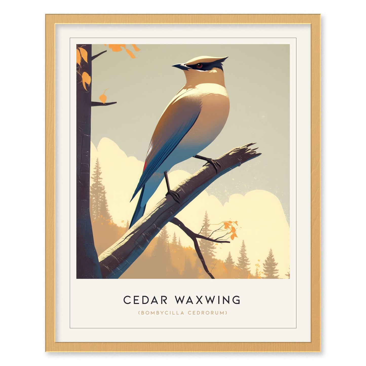 Cedar Waxwing Framed Poster | Nature Bird Lover Modern Wall Art | Audubon Wildlife Print | Woodland Cottage Decor