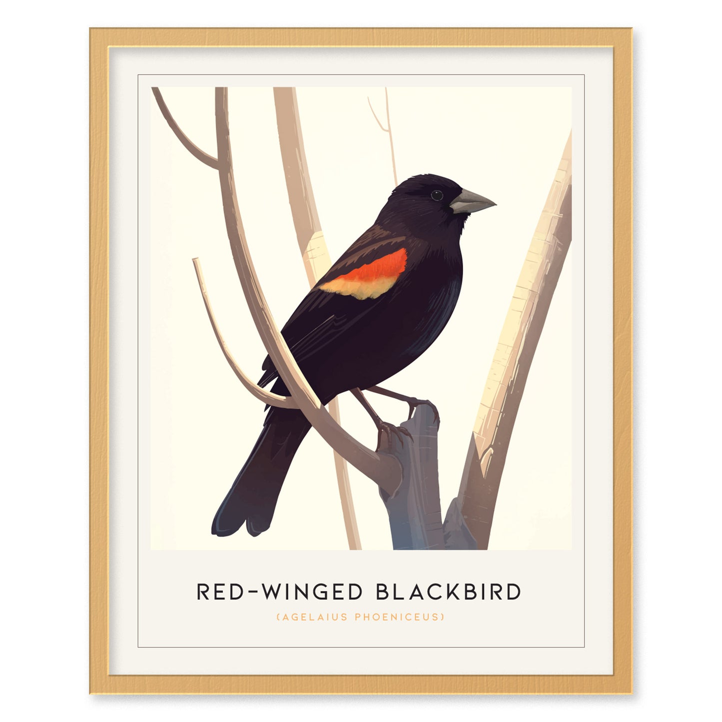 Red-Winged Blackbird Poster | Bird Art Print | Minimalist Nature Gift
