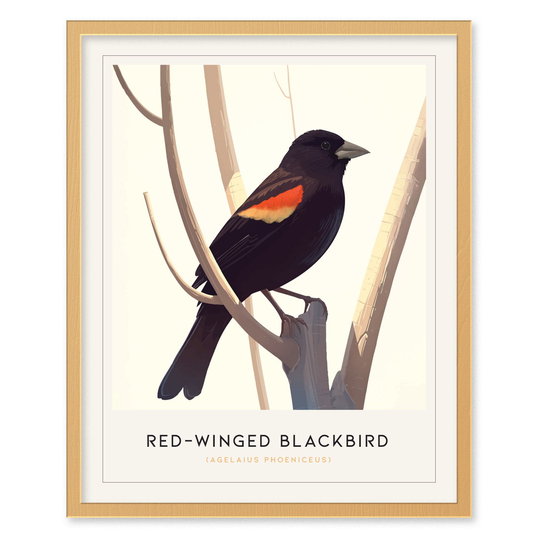 Red-Winged Blackbird Poster | Bird Art Print | Minimalist Nature Gift