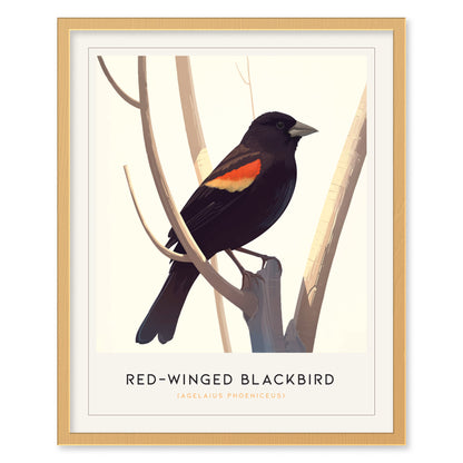 Red-Winged Blackbird Poster | Bird Art Print | Minimalist Nature Gift