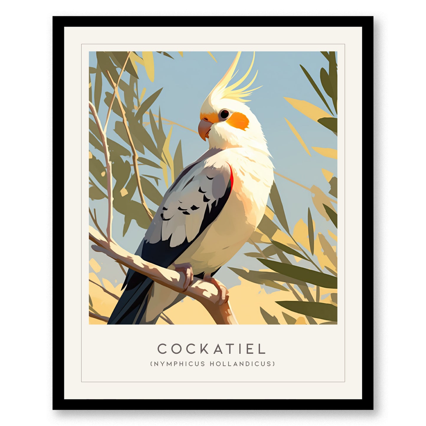 Cockatiel Parakeet Framed Poster | Parrot Bird Lover Modern Wall Art | Weero Cockatoo Australia Audubon Print Decor