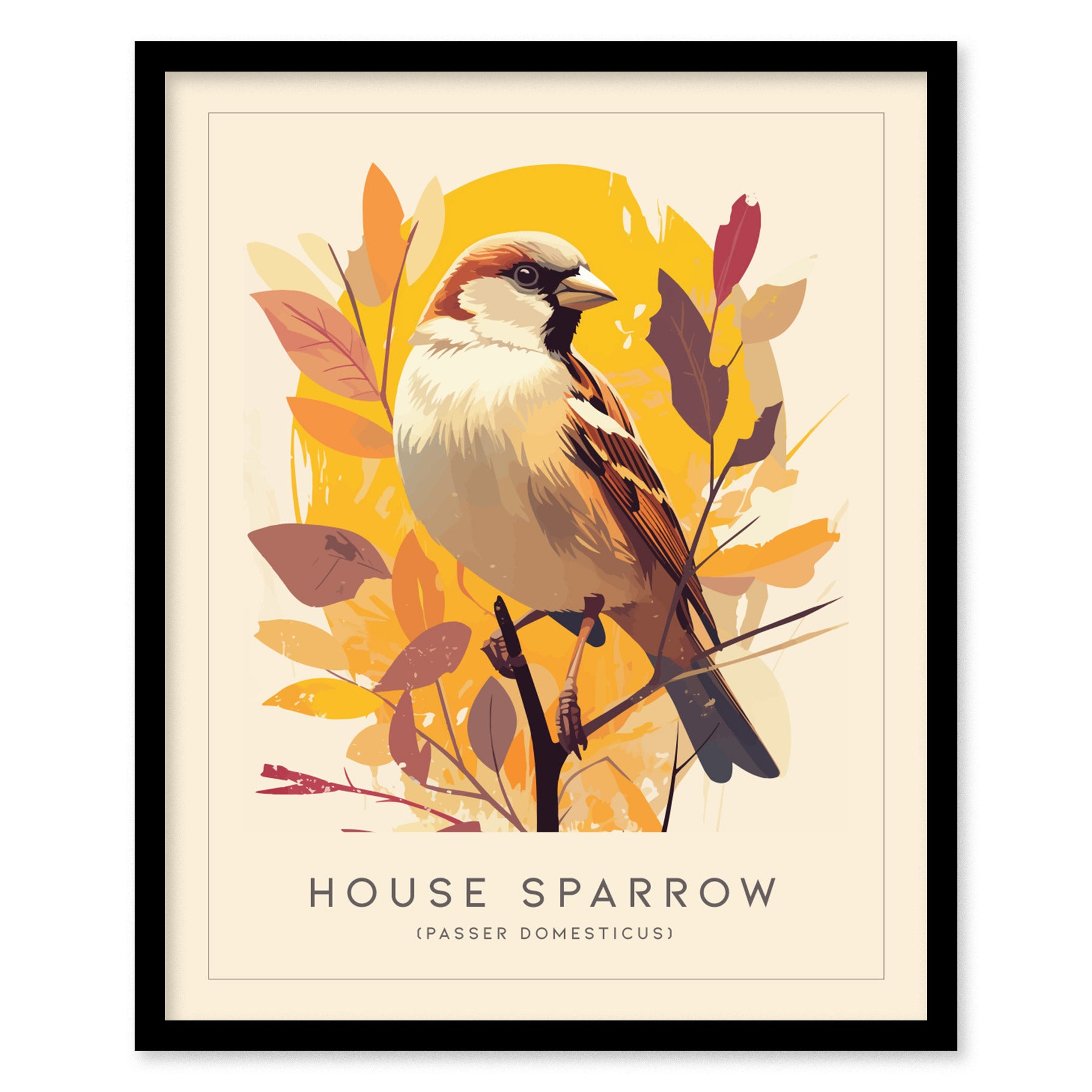 House Sparrow Poster | Passer domesticus Audubon Bird Wall Art