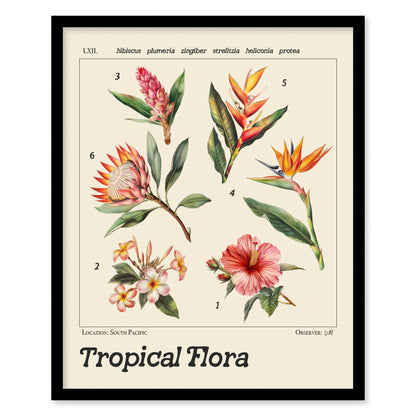 Framed botanical illustration poster featuring six tropical flowers: hibiscus, plumeria, zingiber, strelitzia, heliconia, and protea, labeled with Latin names. Text reads Tropical Flora and Location: South Pacific.