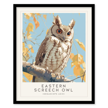 Eastern Screech Owl Poster | Bird Lover Audubon Print Wall Art | Framed or Unframed