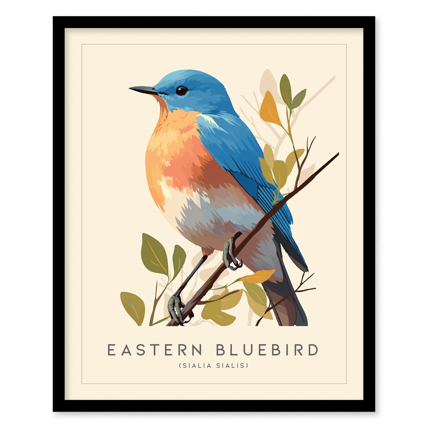 Eastern Bluebird Audubon Print | Bird Lover Cottagecore Wall Art | Framed or Unframed