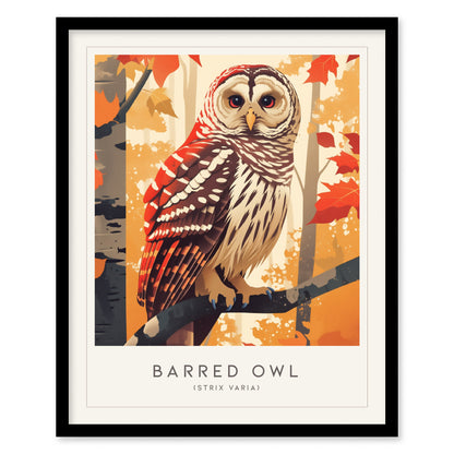 Barred Owl Framed Poster | Hoot Owl Nature Bird Lover Nature Modern Wall Art | Bird Of Prey Audubon Print Farm House Decor