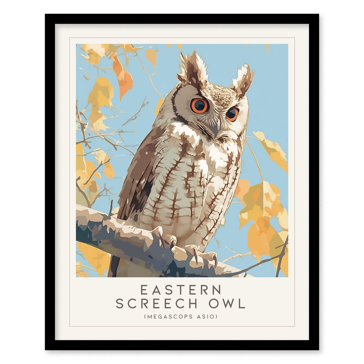 Eastern Screech Owl Framed Poster | Nature Bird Lover Nature Modern Wall Art | Bird Of Prey Audubon Print Cabin Decor