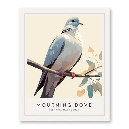 Mourning Dove Framed Bird Poster | Tranquil Avian Audubon Wall Art | Birdwatcher Nature Lover Farm House Cottagecore Home Decor Modern Print