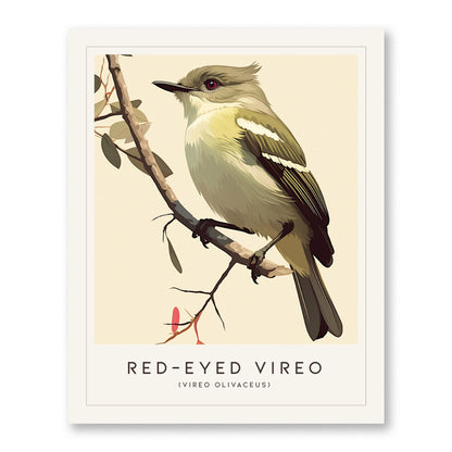 Red-eyed Vireo Framed Bird Poster | Audubon Avian Wall Art Print | Nature Lover Farm House Cottagecore Home Decor